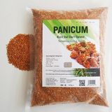 Dal Darı Net Panicum Kızıl Dal Darı Tanesi 500 gr Doğal Kuş Yemi İçeriği ile Yavru Kuşlar İçin Uygun