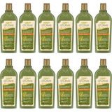 Dalan 12x400 ml Onarıcı Bakım Şampuanı + Biota Duş Jeli