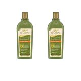 Dalan 2x400 ml Doğal Zeytinyağlı Onarıcı Bakım Besleyici Şampuan