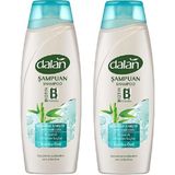 Dalan 2x450 ml Koparak Dökülen Saçlar Bambu Özlü Şampuan