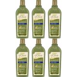 Dalan 6x400 ml Hacim Veren Şampuan