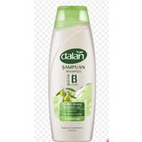 Dalan 6x450 ml Kuru ve Yıpranmış Saçlar Zeytinyağı Şampuan