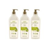 Dalan Besleyici 3x400 ml Vücut Losyonu