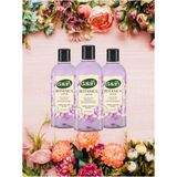Dalan Botanica Lotus 3x500 ml Duş Jeli