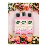Dalan Botanica Şakayık 3x500 ml Duş Jeli