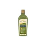 Dalan D Olive Kepek Karşıtı Doğal Zeytinyağlı Besleyici Şampuan 400 Ml