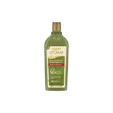 Dalan D Olive Renk Koruyucu Doğal Zeytinyağlı Besleyici Şampuan 400 Ml