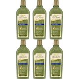 Dalan Doğal Zeytinyağlı Kepek Karşıtı Besleyici 6x400 ml Şampuan