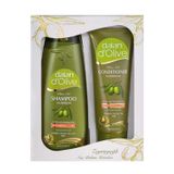 Dalan D'olive 400 ml Zeytinyağlı Şampuan+200 ml Saç Kremi