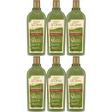 Dalan D’olive 6x400 ml Zeytinyağlı Renk Koruyucu Şampuan