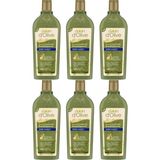 Dalan D'Olive Doğal Zeytinyağlı Kepek Karşıtı 6x400 ml Şampuan