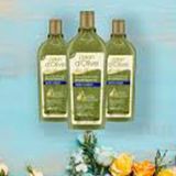 Dalan D'Olive Zeytinyağlı Kepek Karşıtı 3x400 ml Şampuan