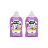 Dalan Family Sıvı Sabun Leylak 3 Lt X 2 Adet