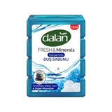 Dalan Fresh & Minerals Gliserinli Deniz Tuzu Duş Sabunu 600 gr Ferahlatıcı Etki