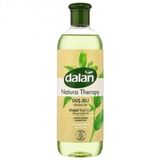 Dalan Natura Therapy Doğal Yeşil Çay 500 ml Duş Jeli