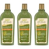 Dalan Onarıcı 3x400 ml Bakım Şampuanı