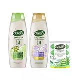 Dalan Onarıcı Bakım Şampuan 450 Ml + Dalan Saç Kremi 450 Ml + Dalan Klasik Aloe Vera 110X4