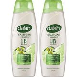 Dalan Şampuan Zeytinyağlı Bakım 450 ml x 2 Adet