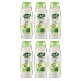 Dalan Zeytinyağlı Onarıcı Bakım Şampuanı 450 Ml x 6 Adet
