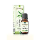 Dalbeyoğlu 20 ml Çay Ağacı Yağı