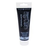 Daler Rowney 065 Paynes Grey 120 ml Akrilik Boya