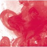 Daler Rowney Fw Acrylic Artist Ink 29.5 ml Cam Şişe Crimson 513 Akrilik Boya