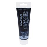 Daler Rowney Graduate Akrilik Boya 120Ml Paynes Grey