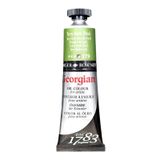 Daler Rowney N:379 Terre Verte 38 ML Georgian Yağlı Boya
