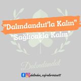 Dalındandut Yeni Mahsul Karışık Kuruyemiş Lüx 250 gr