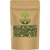 Damar Otu (Folium Plantaginis) 25GR - 1 Adet