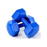 Dambıl 4 kg Dambıl Ağırlık Seti 4 kg x 2 Adet =8 kg Ev Fitness - 2 x 4 kg - Mavi