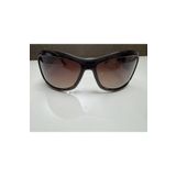 Daniel Klein DK4136COL2 Kadın Güneş Gözlüğü