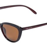 Daniel Klein DK4252COL03 Kadın Güneş Gözlüğü