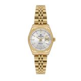 Daniel Klein Rolex Dizayn Pırlanta Taşlı Özel Diamond Serisi Küçük Kasalı (28 MM) Gold Renk Kadın Kol Saati