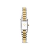 Daniel Wellington Bound Mini 3-link Altın Rengi Gümüş Çelik Kadın Kol Saati