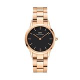 Daniel Wellington DW00600212 Kadın Kol Saati
