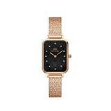 Daniel Wellington DW00600579 Kadın Kol Saati