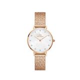 Daniel Wellington DW00600590 Kol Saati