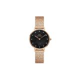 Daniel Wellington DW00600591 Kadın Kol Saati
