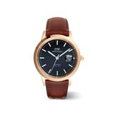 Daniel Wellington DW00600758 Erkek Kol Saati