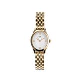 Daniel Wellington Dw00600803 Beyaz Altın Rengi Çelik Kadın Kol Saati