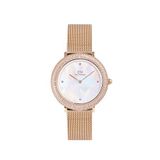 Daniel Wellington Dw00600823 Rosegold Deri Kadın Kol Saati
