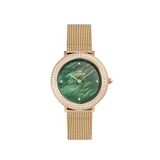 Daniel Wellington Dw00600824 Yeşil Altın Rengi Deri Kadın Kol Saati
