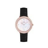 Daniel Wellington Dw00600827 Deri Kadın Kol Saati