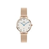 Daniel Wellington Petite 28 Roman Numerals Date Melrose White Rg Dw00600856 Rose Gold Çelik Kadın Kol Saati - Pembe Altın