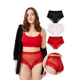Dantel Detaylı Transparan Büyük Beden Bikini Külot 3'lü Paket