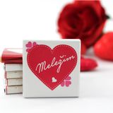 Dark Brown Chocolates & Confections MELEĞİM Yazılı 48 Adet Madlen Çikolata Bitter ve Sütlü
