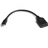 Dark Mini Display Port Erkek to Display Port Dişi 4K Destekli Dönüştürücü