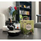 Darshan Citronella Geri Akış Tütsü - Çok Renkli