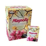 Darshan Geri Akış Tütsü Magnolia